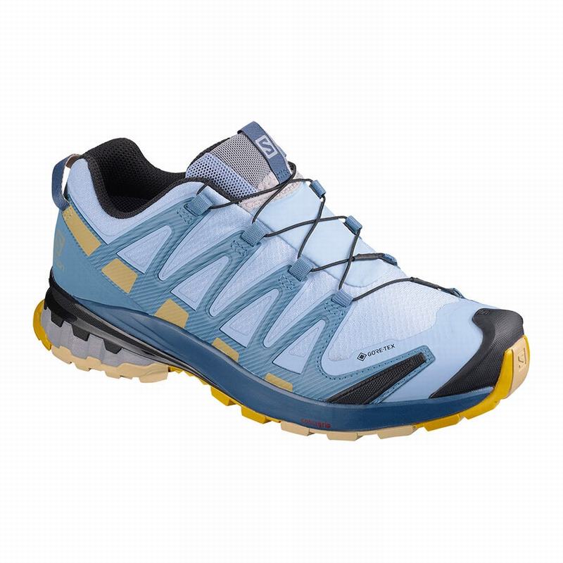 SALOMON XA PRO 3D V8 GORE-TEX Philippines - Women's Trail Running Shoes - Blue | 031947-CYK